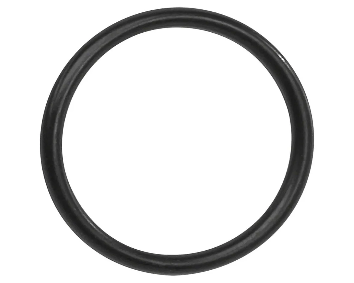 Bosch O-Ring (BDU3XX)