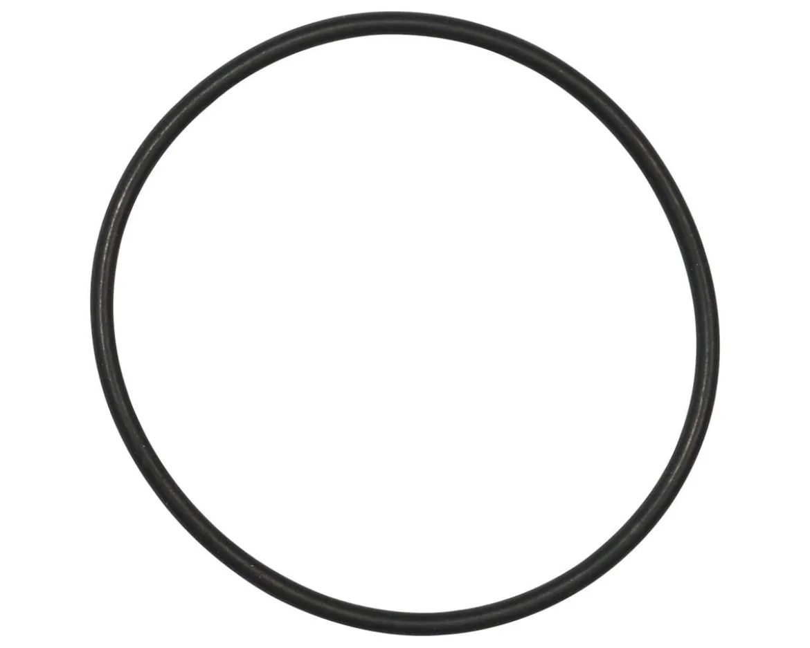 Bosch O-Ring (BDU2XX)