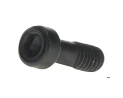 Bosch Purion 400 Mounting Clamp Screw