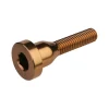 Burgtec Top Cap Bolt (Kash Bronze)