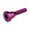 Burgtec Top Cap Bolt (Purple Rain)