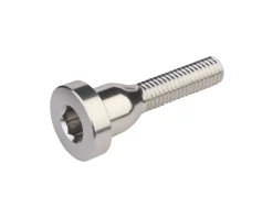 Burgtec Top Cap Bolt (Rhodium Silver)