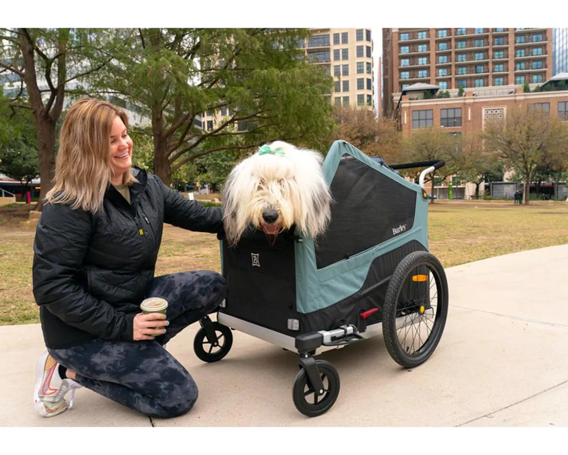 Burley Bark Ranger Pet Bike Trailer & Stroller (Blue) (XL)