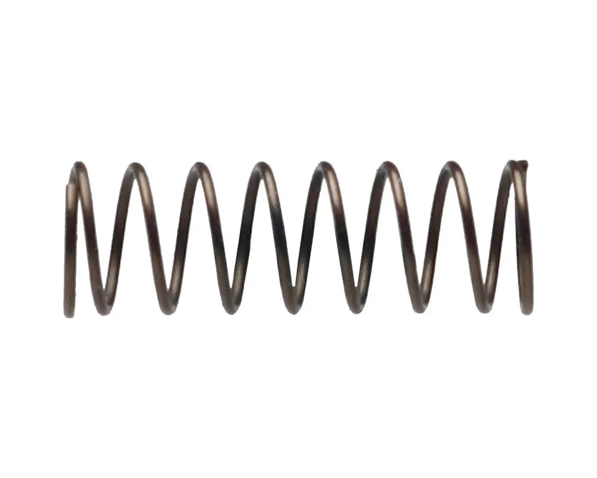Campagnolo Cassette Body Pawl Spring (1)