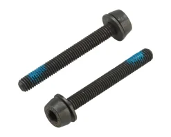 Campagnolo Disc Caliper Mounting Screws (2 x 39mm) (For 30-34mm Rear Mount Thickness)