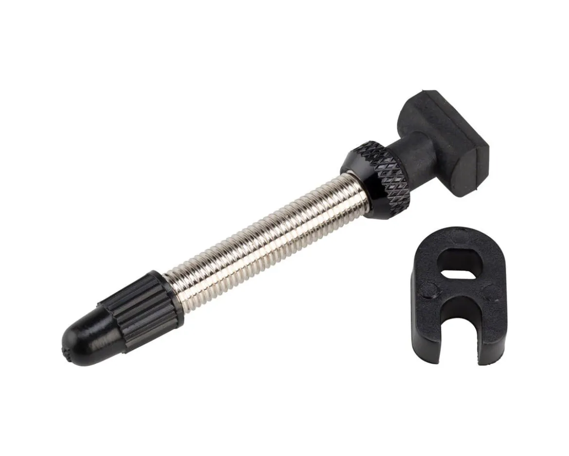 DT Swiss 40mm Tubeless Valve (Silver) (1) (MTB or Road) (Narrow Base)