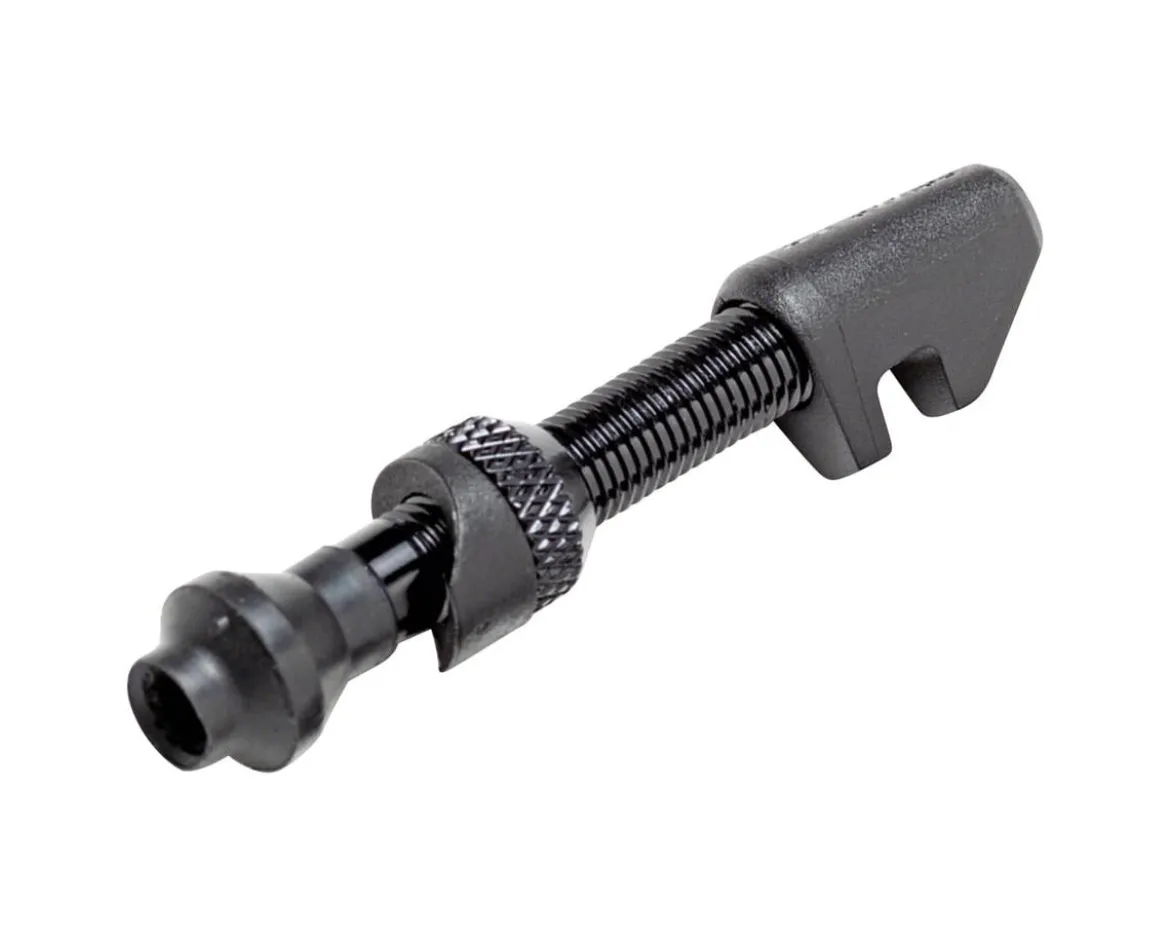 DT Swiss Tubeless Presta Valve (Black) (Single) (w/Road Asymmetric Nut) (40mm) (Alloy)