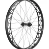 DT Swiss Big Ride 2250 Classic Fat Bike Wheels (Black/White) (Centerlock) (Clincher) (Front) (15 x 150mm) (26")