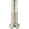 DT Swiss Brass Nipples (Silver) (2.0 x 16mm) (Box of 100)