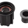 DT Swiss Campagnolo Freehub Body (9-12 Speed) (Star Ratchet) (12 x 142mm)