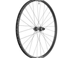 DT Swiss E 1900 Spline 30 Rear Wheel (Black) (6-Bolt) (Shimano Micro Spline) (12 x 148mm (Boost)) (29")