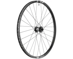 DT Swiss F 1900 Classic Front Wheel (Black) (6-Bolt) (20 x 110mm) (29")