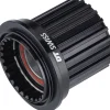 DT Swiss Freehub Body for Ratchet Drive Hubs (Shimano Micro Spline)