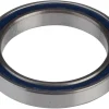 Enduro 6704 Sealed Cartridge Bearing