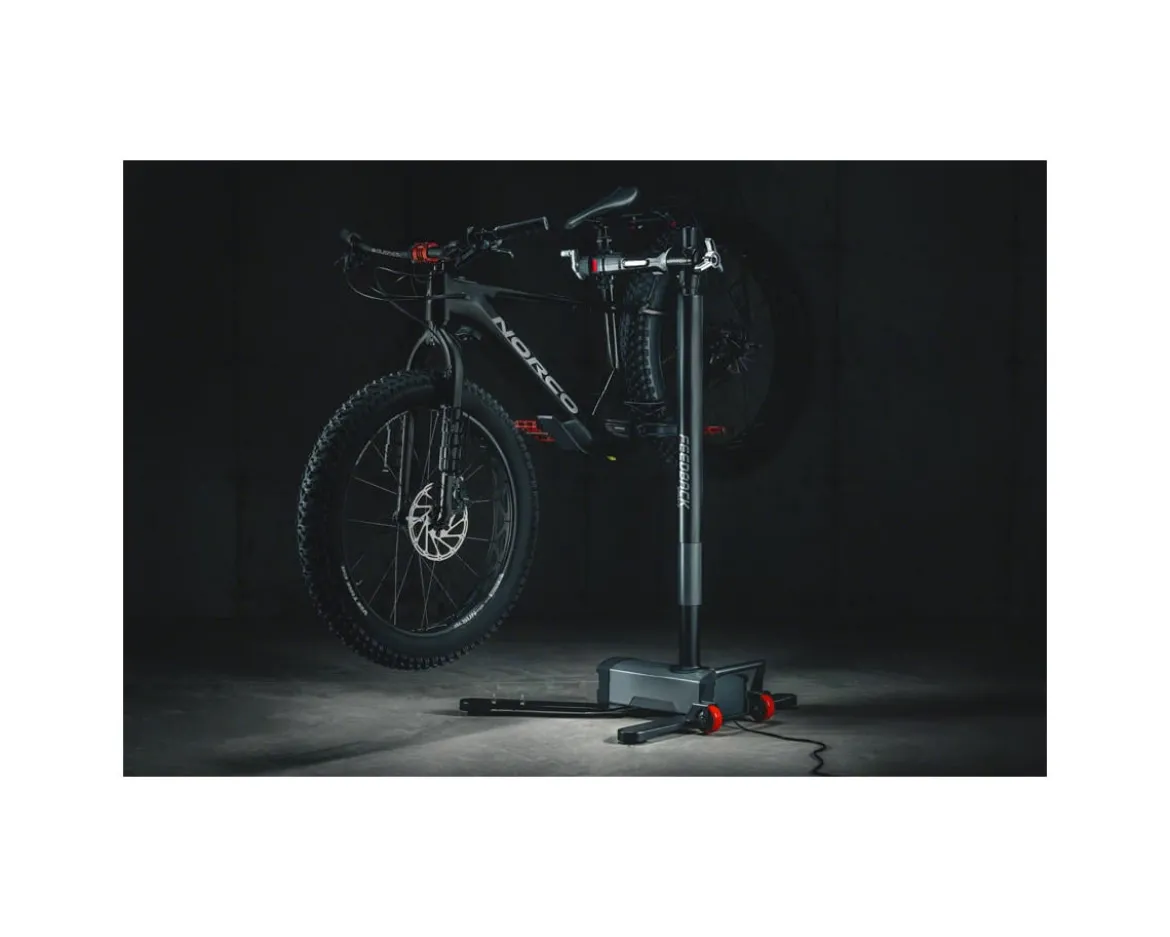 Feedback Sports Pro E Lift Bike Repair Stand