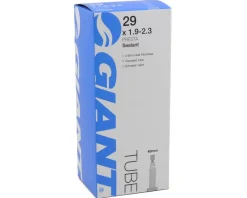 Giant 29