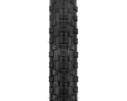 Giant FlatGuard Path Mountain Tire (Black) (26