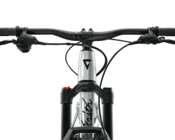 Giant Faith 24 Kids Mountain Bike (Raw Aluminum) (24")