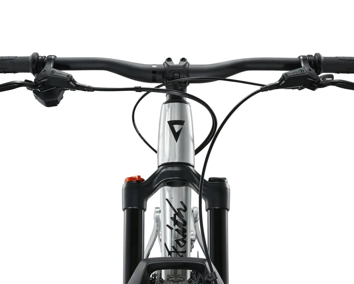 Giant Faith 24 Kids Mountain Bike (Raw Aluminum) (24")