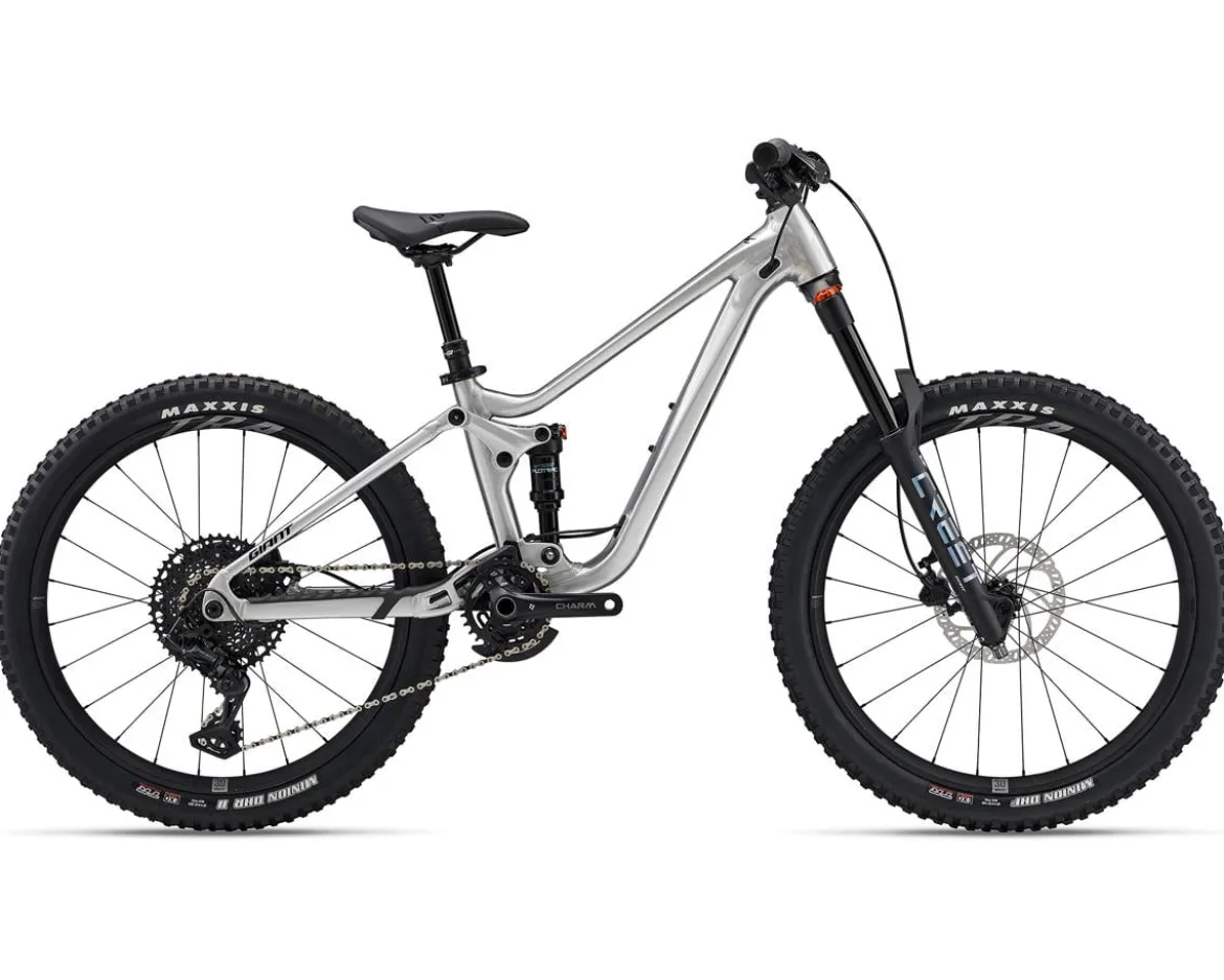 Giant Faith 24 Kids Mountain Bike (Raw Aluminum) (24")