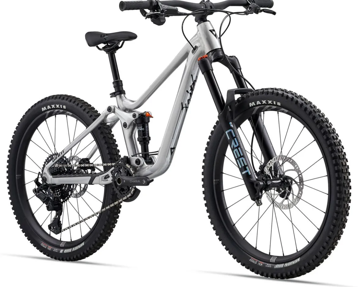 Giant Faith 24 Kids Mountain Bike (Raw Aluminum) (24")