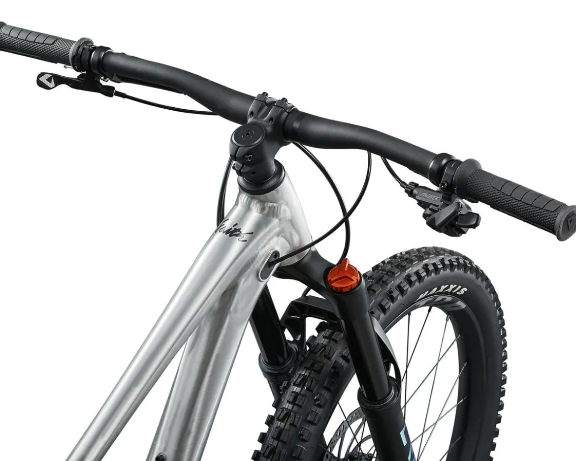 Giant Faith 24 Kids Mountain Bike (Raw Aluminum) (24")