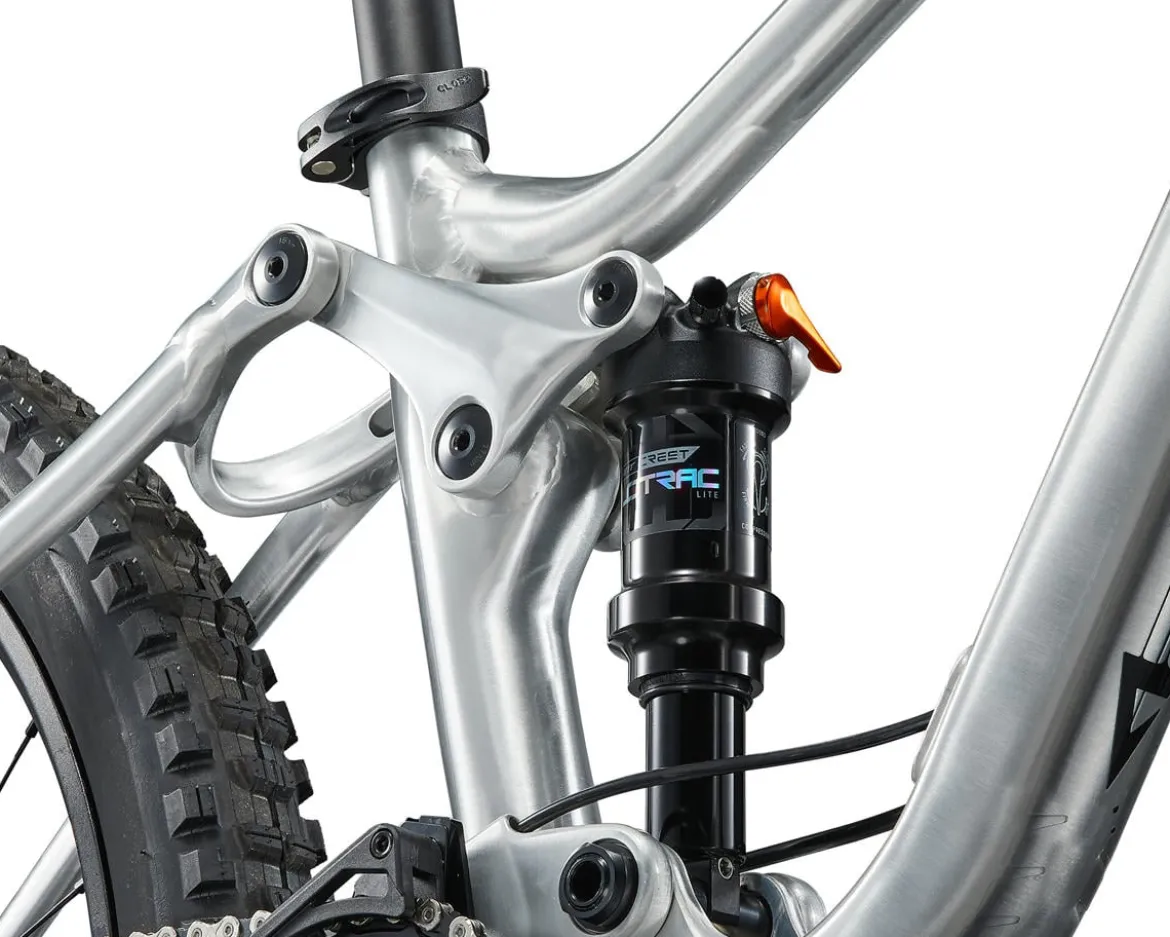Giant Faith 24 Kids Mountain Bike (Raw Aluminum) (24")