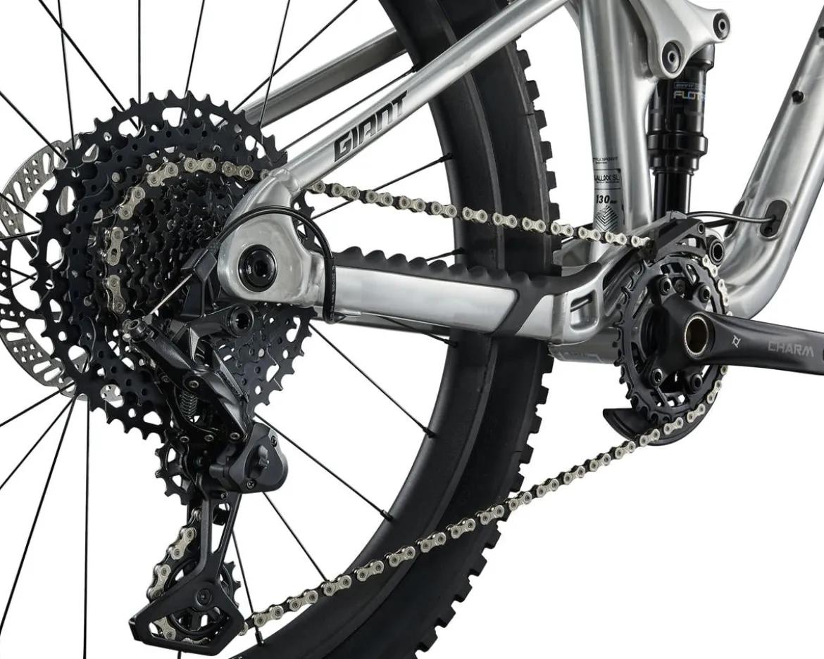 Giant Faith 24 Kids Mountain Bike (Raw Aluminum) (24")