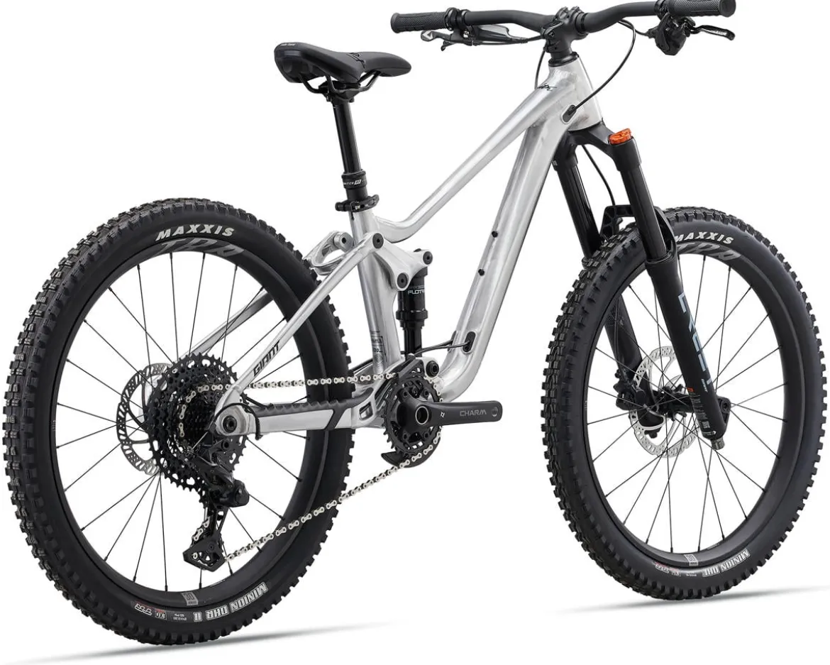 Giant Faith 24 Kids Mountain Bike (Raw Aluminum) (24")