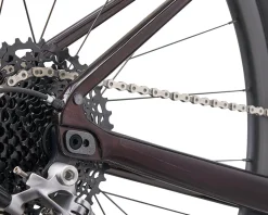 Giant Revolt Advanced 1 Gravel Bike (Cordovan) (XL)