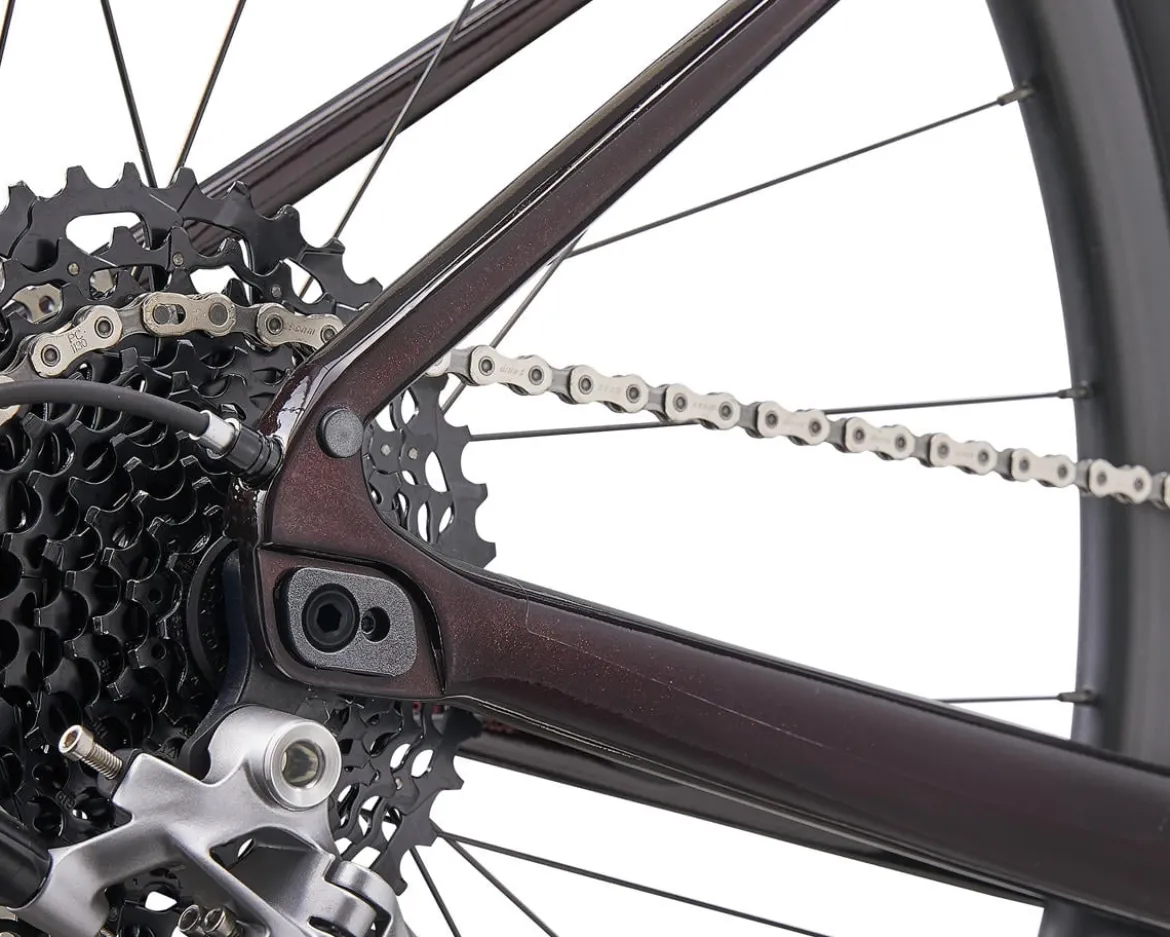 Giant Revolt Advanced 1 Gravel Bike (Cordovan) (XL)