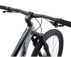 Giant Stance 29 2 Mountain Bike (Knight Shield) (L)