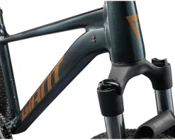 Giant Talon 29 2 Mountain Bike (Asphalt Green) (S)