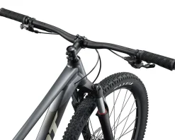 Giant Talon 29 1 Mountain Bike (Charcoal) (L)