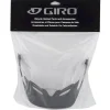 Giro Fixture Visor (Black)