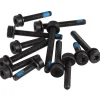 Magura Flat Mount Screw Set (Rear) (Pack of 12) (T25)