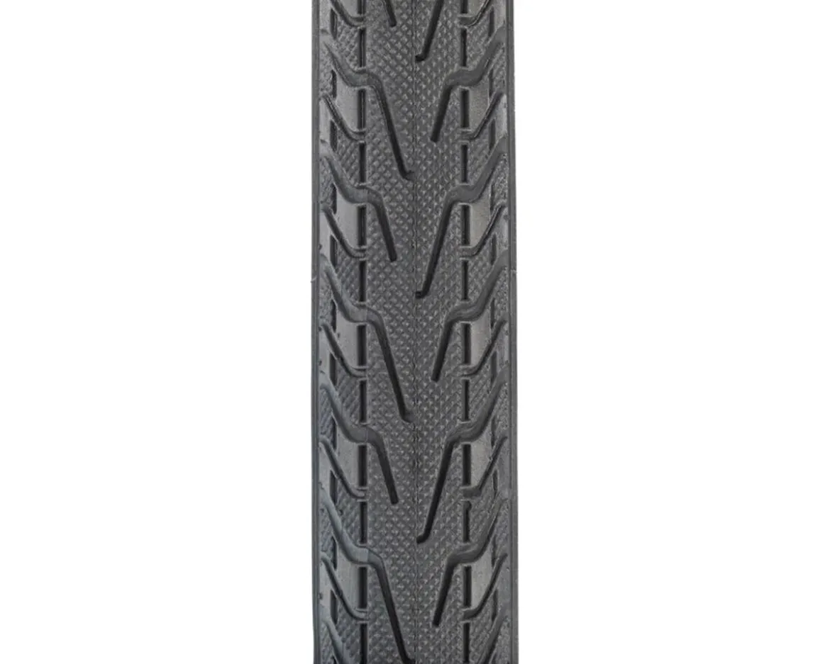 Panaracer Pasela Road Tire (Black) (700c) (28mm) (Wire)