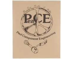Paul Components Stainless Mounting Bolts (T-25) (Pair) (For Flat Mount Calipers) (20mm)