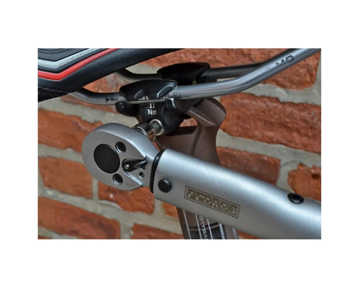 Pedro's 1/4" Hex and Torx Bit Set II