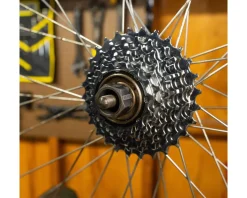 Pedro's Freewheel Socket (Multi-Speed) (12-Spline x 23mm)