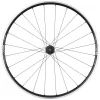 Quality Wheels DT 350/DT R460 Rear Wheel (700c) (QR x 130mm) (HG 11/12)