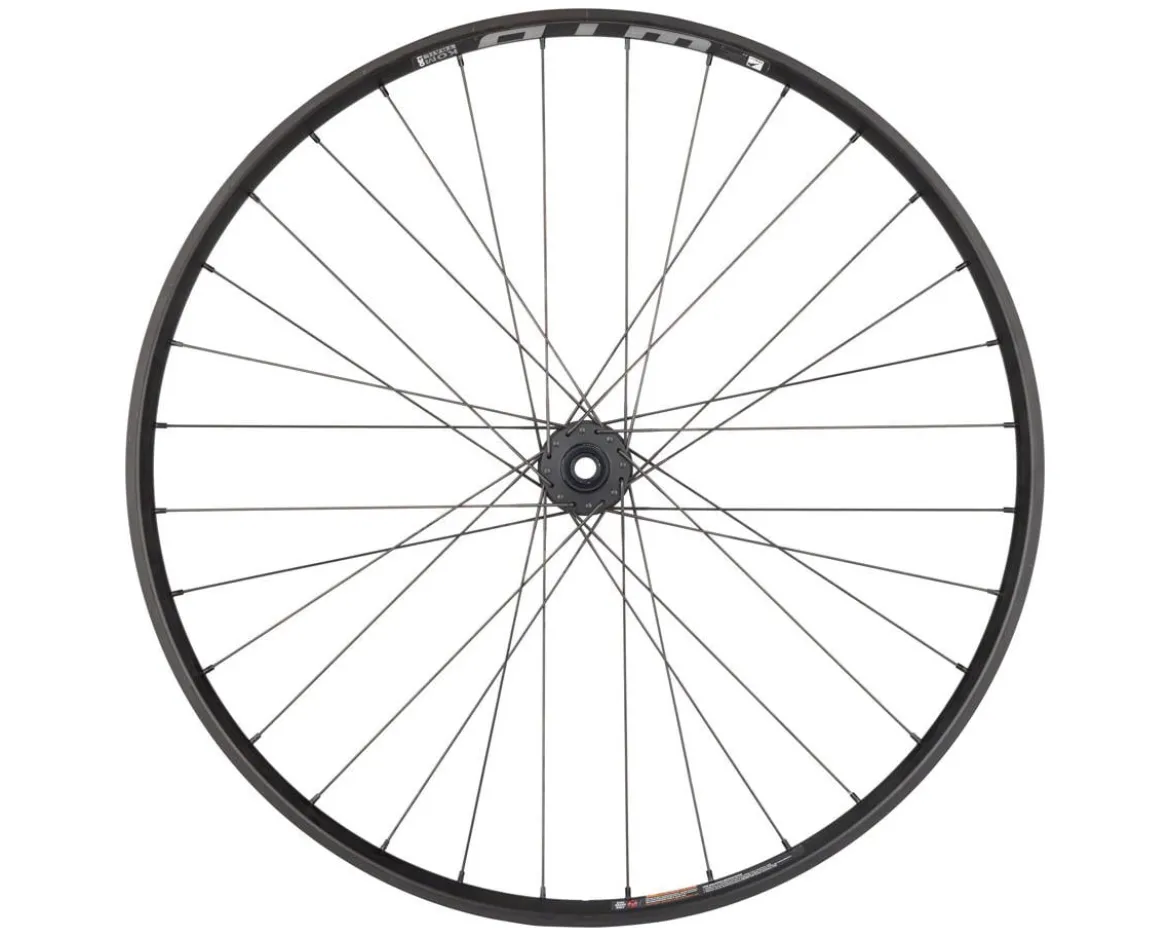 Quality Wheels DT 370/WTB KOM i30 Front Wheel (29") (15 x 110mm) (6-Bolt)