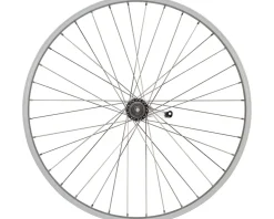 Quality Wheels Single Wall Coaster Brake Rear Wheel (Silver) (3-Prong Cog) (3/8