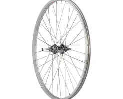 Quality Wheels Single Wall Coaster Brake Rear Wheel (Silver) (3-Prong Cog) (3/8