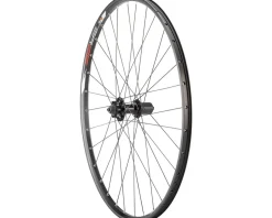Quality Wheels Value Double Wall Series Disc Rear Wheel (Black) (Shimano HG) (QR x 135mm) (29") (6-Bolt) (Tubeless)