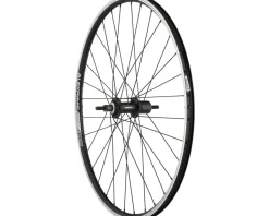 Quality Wheels Value Double Wall Series Rear Wheel (26") (10 x 1 x 135mm) (Rim Brake) (HG 10) (Clincher)