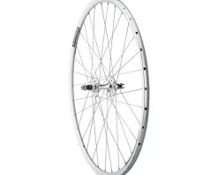 Quality Wheels Value Double Wall Series Track Rear Wheel (Silver) (Freewheel) (10 x 120mm) (700c) (Sealed) (Flip-Flop Hub)