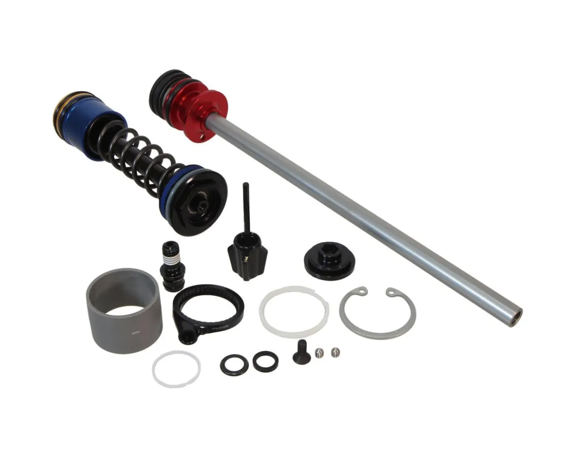 RockShox Isolator Damper Assembly (Remote, Psylo Gold RC, A1+)