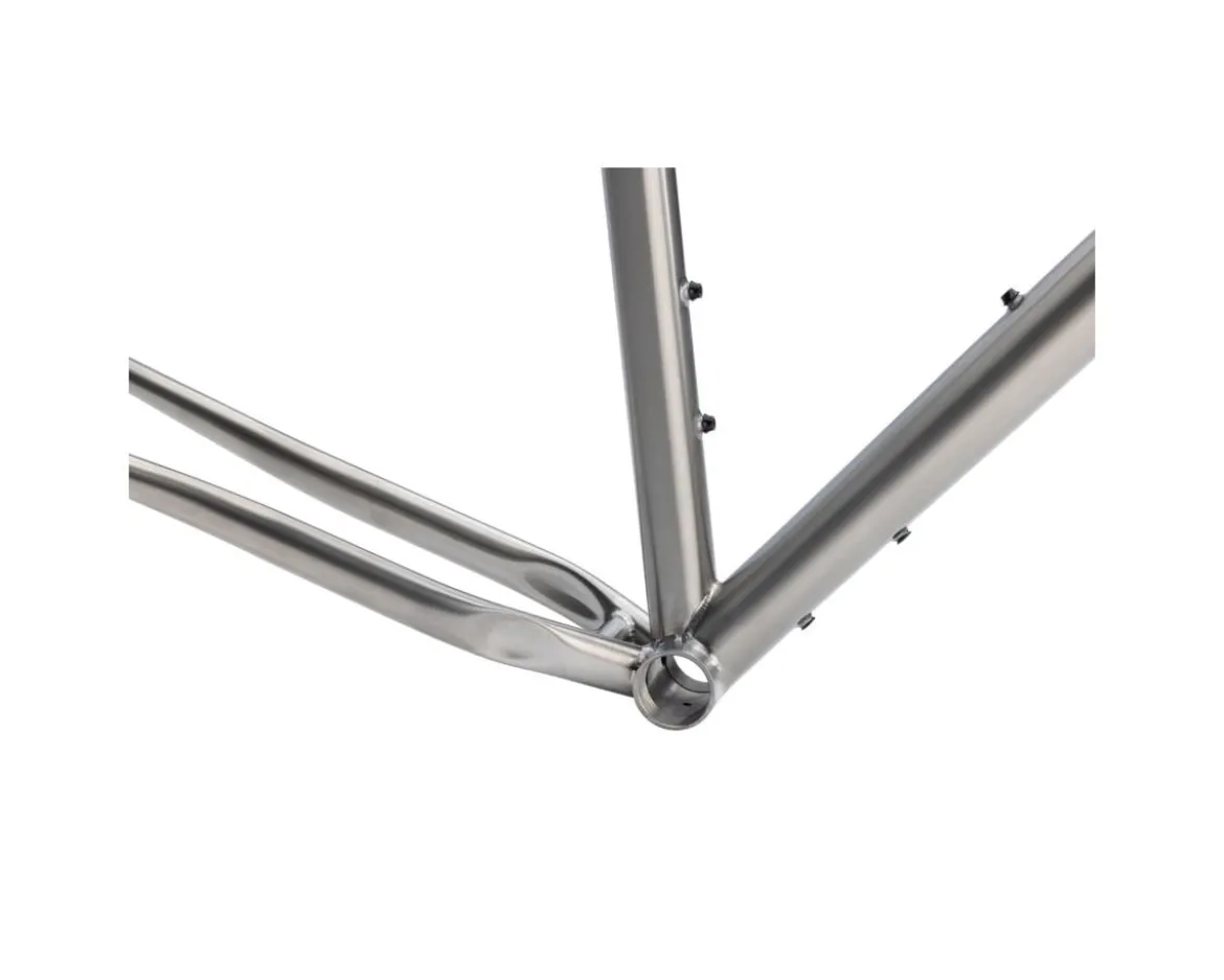 Salsa Fargo Ti Frameset (Brushed Titanium) (M)