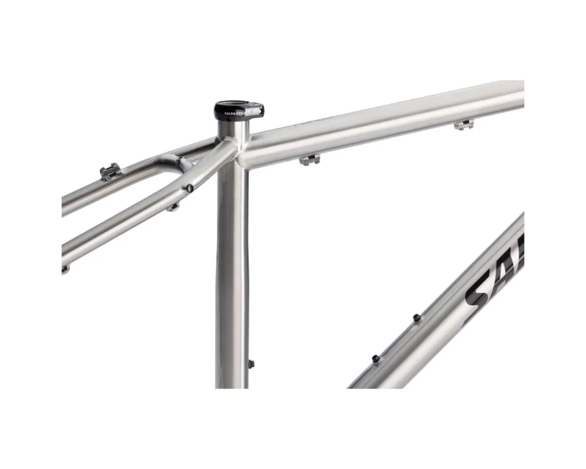 Salsa Fargo Ti Frameset (Brushed Titanium) (M)